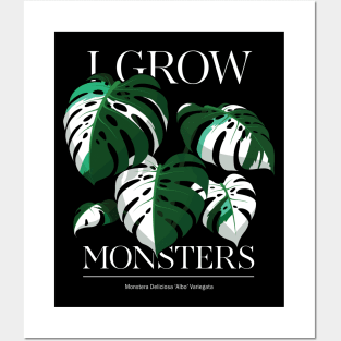 Monstera Albo Plant Lover Collection Posters and Art